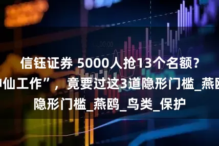 信钰证券 5000人抢13个名额？海岛上的“神仙工作”，竟要过这3道隐形门槛_燕鸥_鸟类_保护