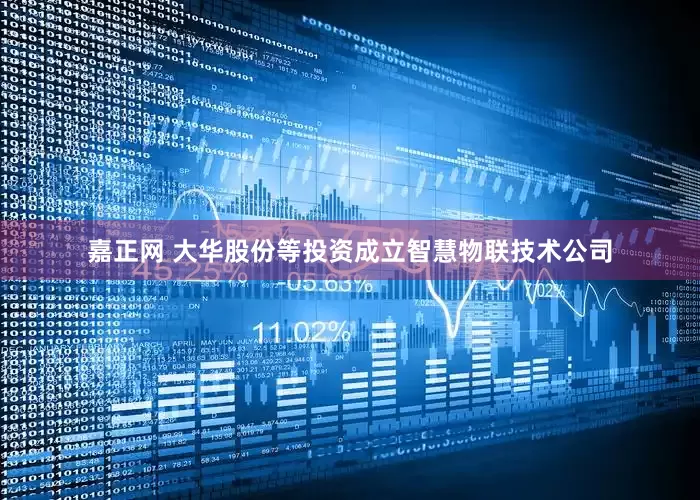 嘉正网 大华股份等投资成立智慧物联技术公司