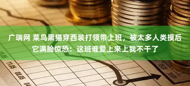 广瑞网 菜鸟黑猫穿西装打领带上班,被太多人类摸后它满脸惊恐:这班谁爱上来上我不干了