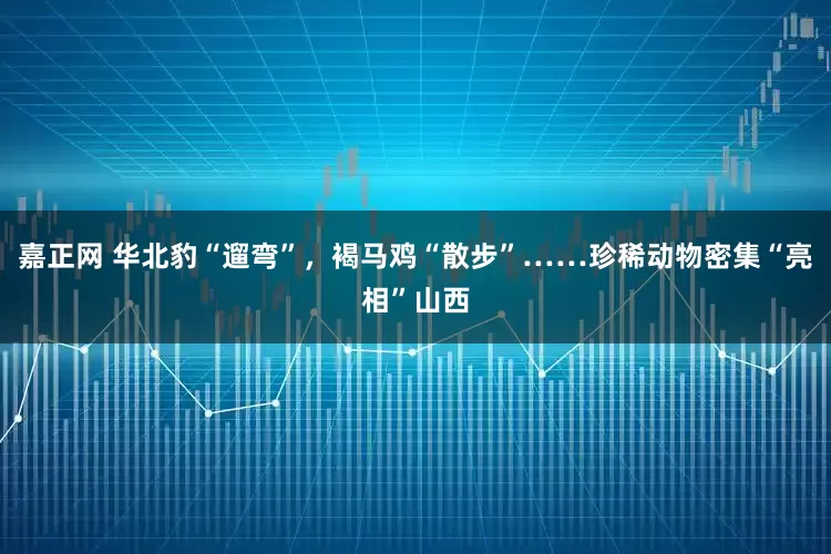 嘉正网 华北豹“遛弯”，褐马鸡“散步”……珍稀动物密集“亮相”山西