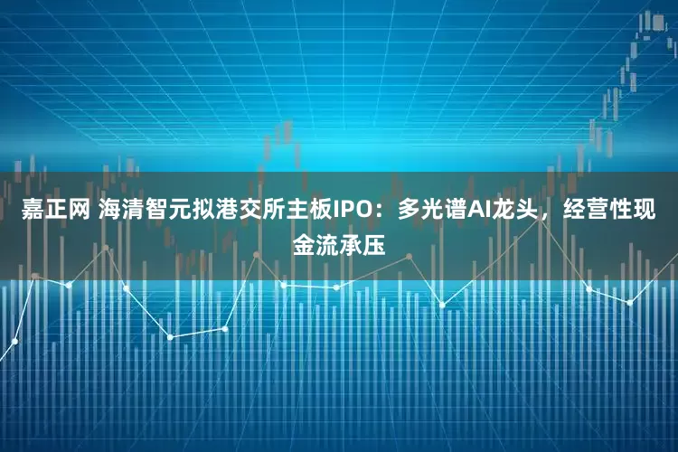 嘉正网 海清智元拟港交所主板IPO：多光谱AI龙头，经营性现金流承压
